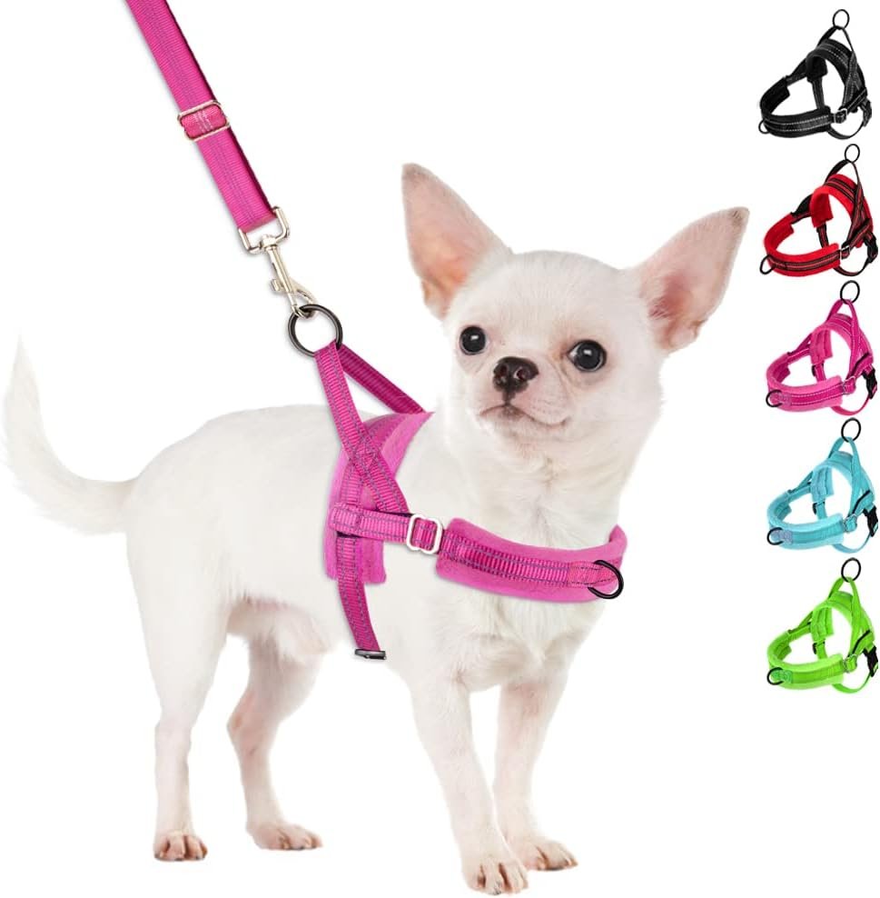 SlowTon No Pull Small Dog Harness and Leash Set, Puppy Soft Vest Harness Neck & Chest Adjustable, Reflective Lightweight Harness & Anti-Twist Pet Lead Combo for Small Medium Dogs (Fuchsia, XXS)