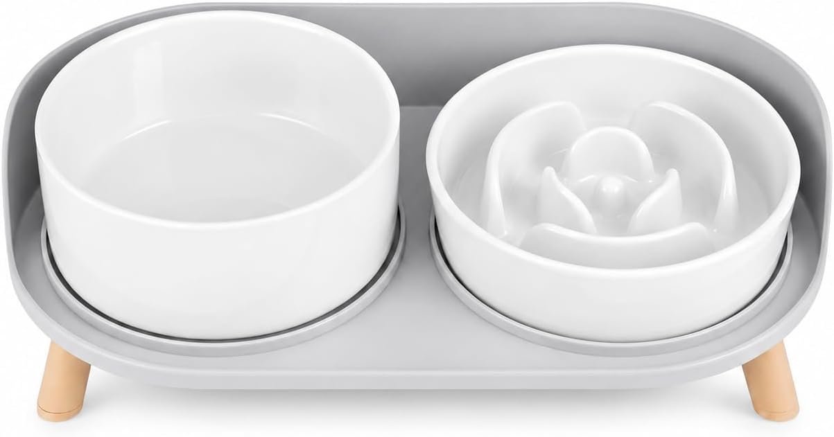 Elevated Slow Feeder Dog Bowls – Ceramic Food and Water Bowl Set with Stand – Raised Pet Dishes for Small and Medium Sized Dogs