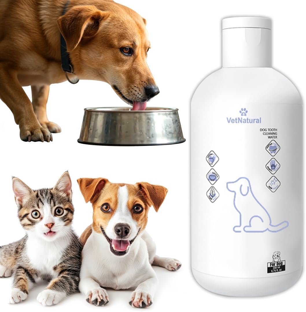 VetNatural Dog Dental Water Additive for Dogs – Odorless & Flavorless Oral Care Formula – Daily Fresh Breath Support – Easy to Use Water Additive – 250ml