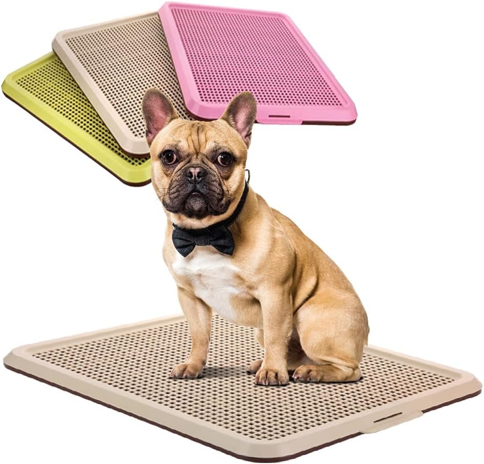 BANU Puppy Pee Pad Holder Indoor Outdoor Dog Potty Toilet Training Tray 20″ x 16″ for Small and Medium Dogs (Ivory)