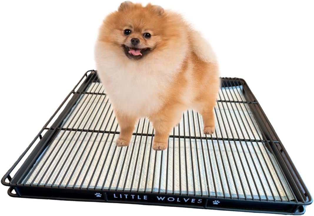 Little Wolves Puppy Potty Tray – 22×22 Shred-Proof Heavy-Duty Training Tray for Puppies & Small Dogs, Easy-Clean, Indoor Dog Pee Pad Holder (Small Gap)