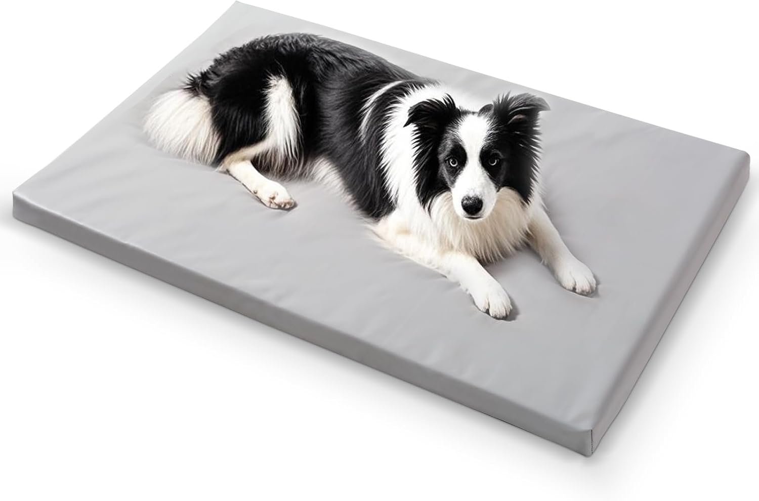 Dog Mat,23″x 36″Dogs Crate Pad,Indoor Non-Slip & Waterproof Dog Mat,Easy Wipe Clean in Seconds，Sleeping for Floor,Car,Sofa,Crate