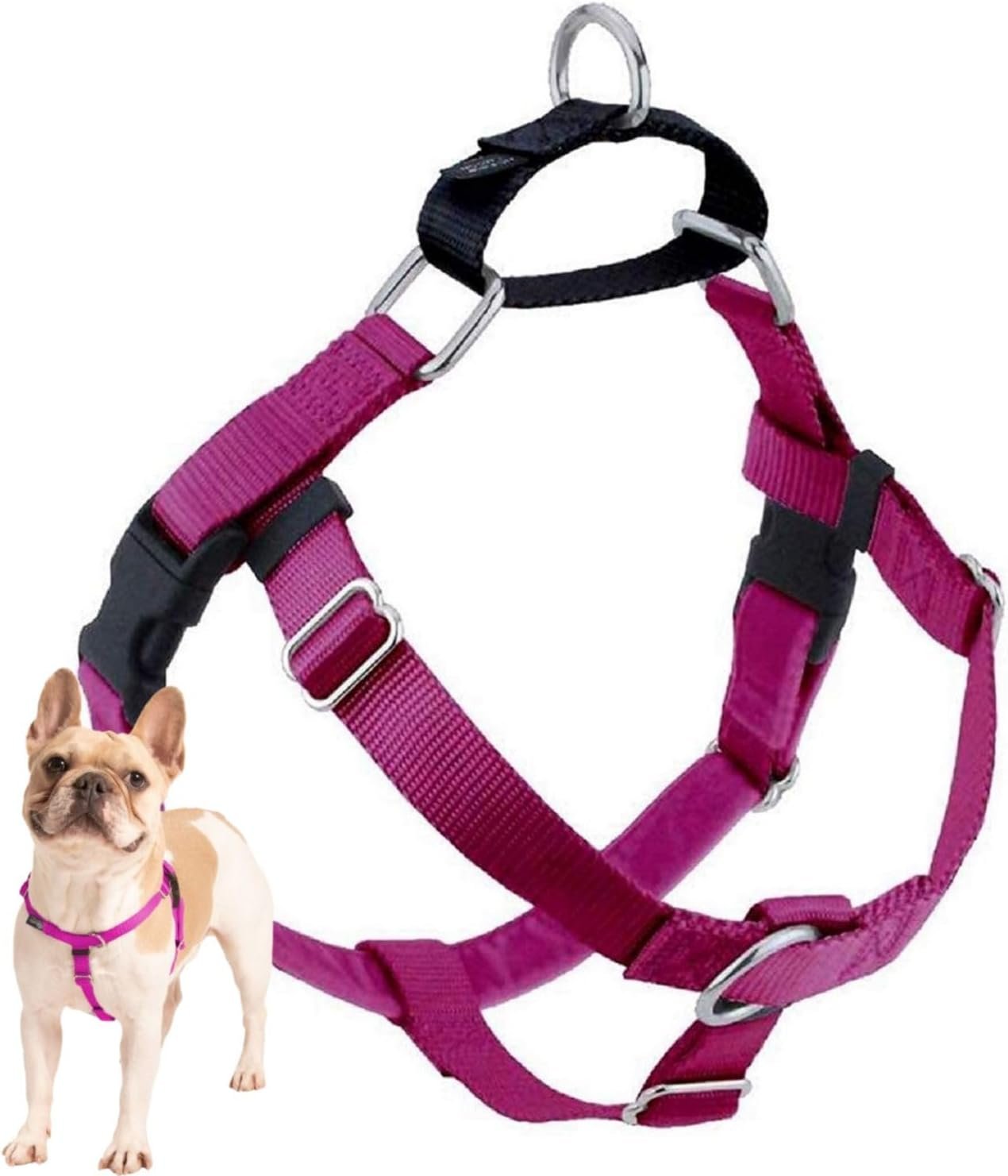 2 Hounds Design Freedom No Pull Dog Harness, Adjustable Harness, Easy Walking & Comfortable Control, Fits Small, Medium & Large Dogs, Solid Colors, Made in USA, 1″ LG, Raspberry
