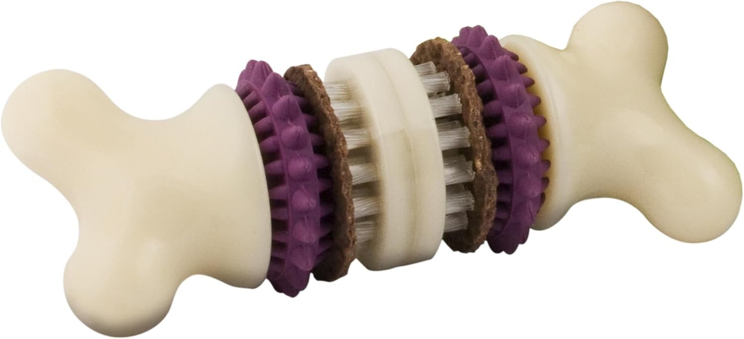 PetSafe Busy Buddy Bristle Bone Dog Chew Toy – Treat Holding Toothbrush Toy for Hard Chewers – Helps Keep Your Dog’s Teeth Clean – Durable, Interactive – Purple, Small