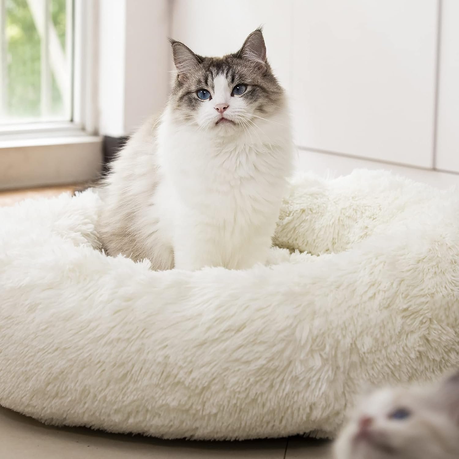 Anti Anxiety Round Fluffy Plush Faux Fur Warm Washable Dog Bed & Cat Bed, Original Bed for Small Medium Large Pets,Used to Relieve Joints and Improve Sleep（20″/24″/27”） (24″, White)