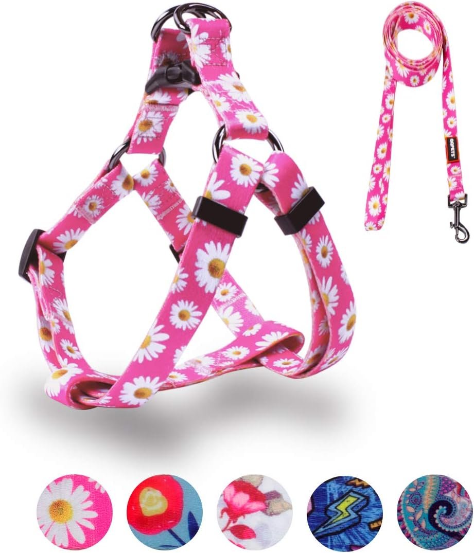 QQPETS Dog Harness Leash Set Adjustable Heavy Duty No Pull Halter Harnesses for Small Medium Large Breed Dogs Back Clip Anti-Twist Perfect for Walking (XS(12″-18″ Chest Girth), Daisy)
