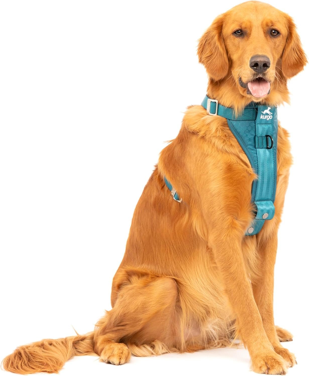 Kurgo Enhanced Strength Tru-Fit Dog Car Harness – Pet Travel Safety Harness – Crash Test Certified Fit – Five Point Adjustment – Secure Buckle – Padded Chest – Ink Blue – Large