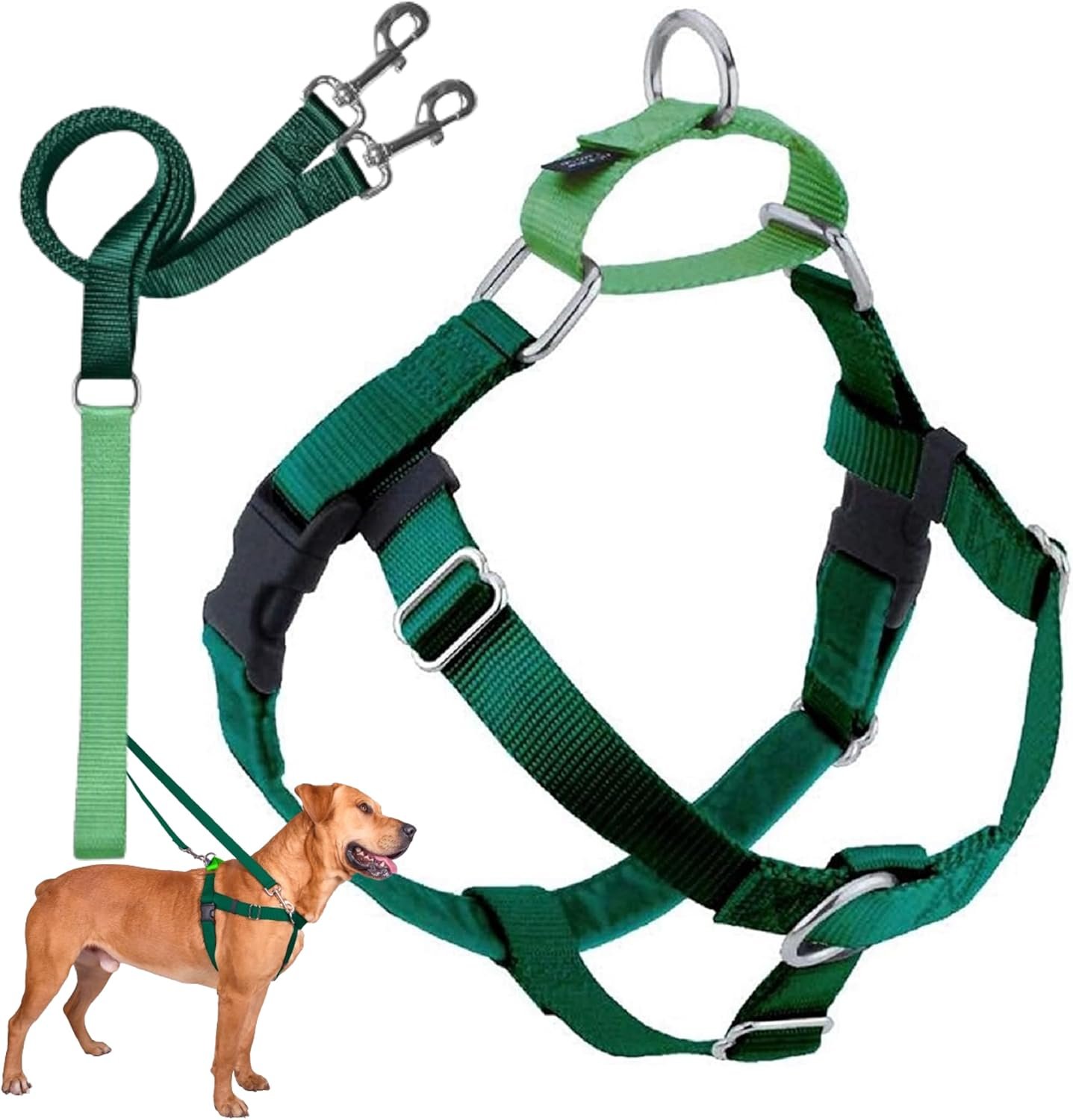 2 Hounds Design Freedom No Pull Dog Harness, Adjustable Harness and Leash Set, Easy Walking & Comfortable Control, Fits Small, Medium & Large Dogs, Solid Colors, Made in USA, 1″ LG, Kelly Green