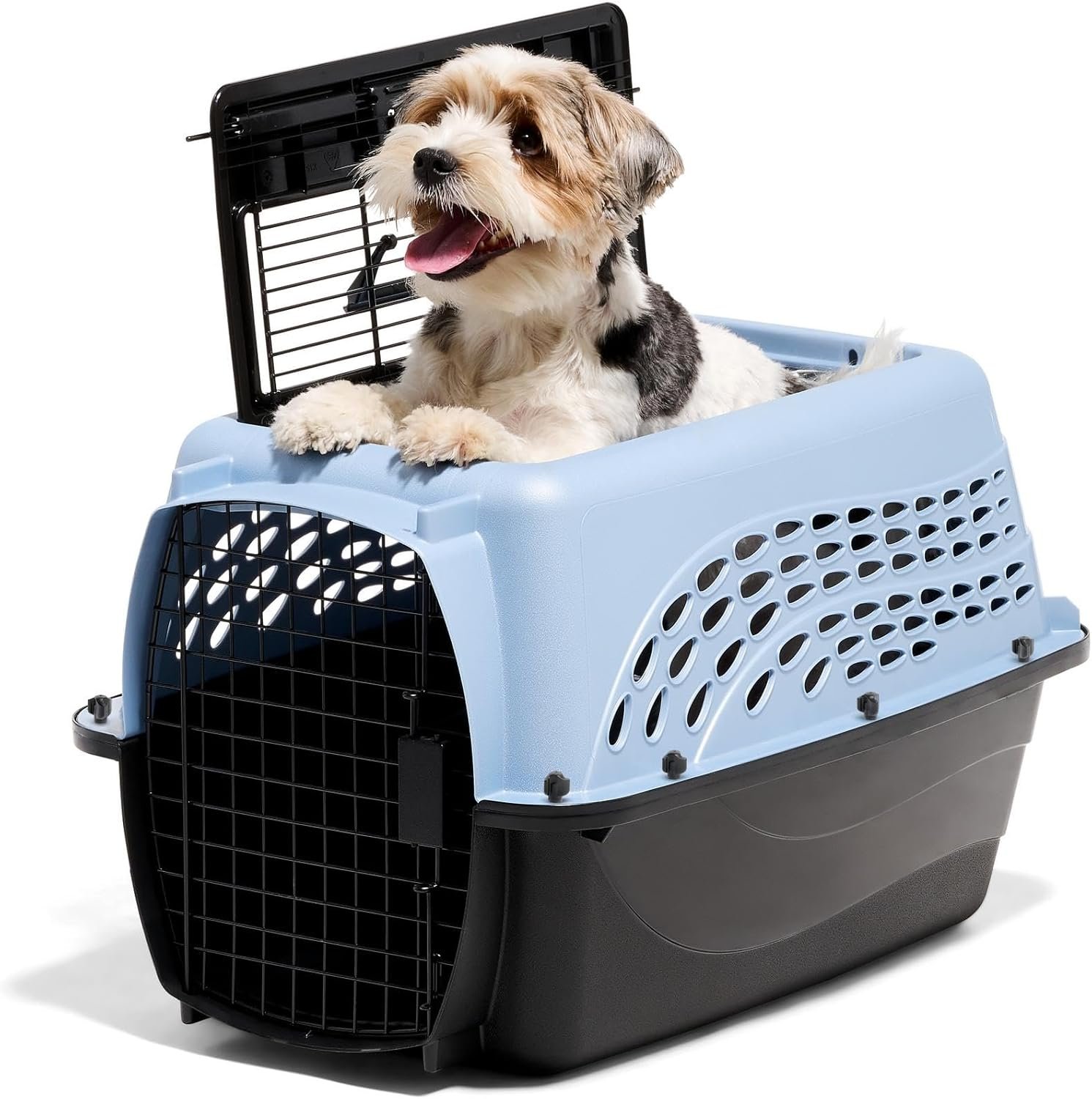 Petmate Dog Crates for Small Dogs & Cat Carriers, Two-Door Plastic Pet Kennel, Top & Front Loading, Made in USA, 24″, Blue