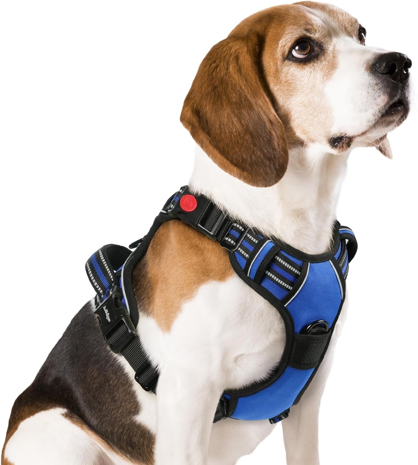 rabbitgoo Dog Harness Medium Sized, No Pull Easy On & Off with 3 Buckles Pet Harness, Adjustable Soft Walking Vest with 2 Clips and Handle, Reflective for Medium Dogs, Blue, M