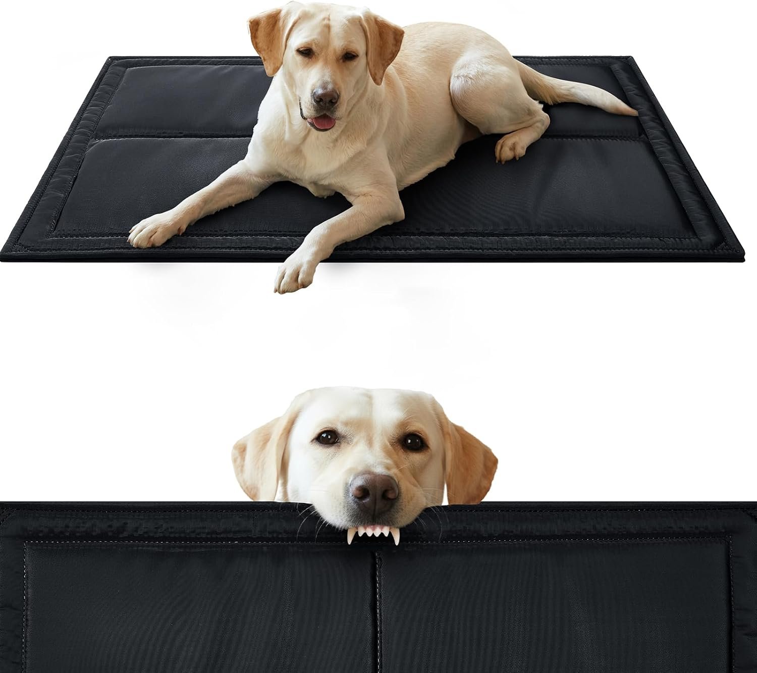 Chew Proof Indestructible Dog Bed, Durable Dog Crate Pad for Aggressive Chewers, Chew Resistant Fabric with Soft 1” 30D Foam Support, Tough Kennel Pad (Black, Medium (22″x35″))