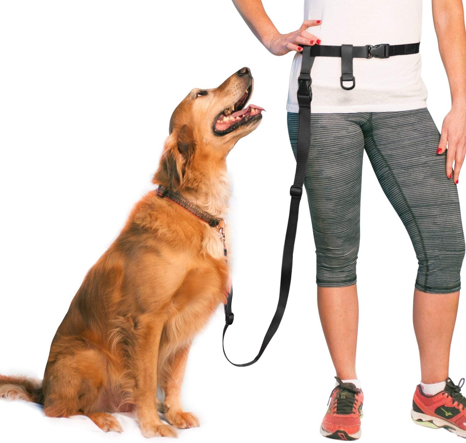 The Buddy System Adjustable Hands Free Dog Leash, Hand-Free Leash for Running, Jogging, Walking, Hiking and Training Service Dogs, Versatile All Dog Sizes – Made in USA – Regular, Black