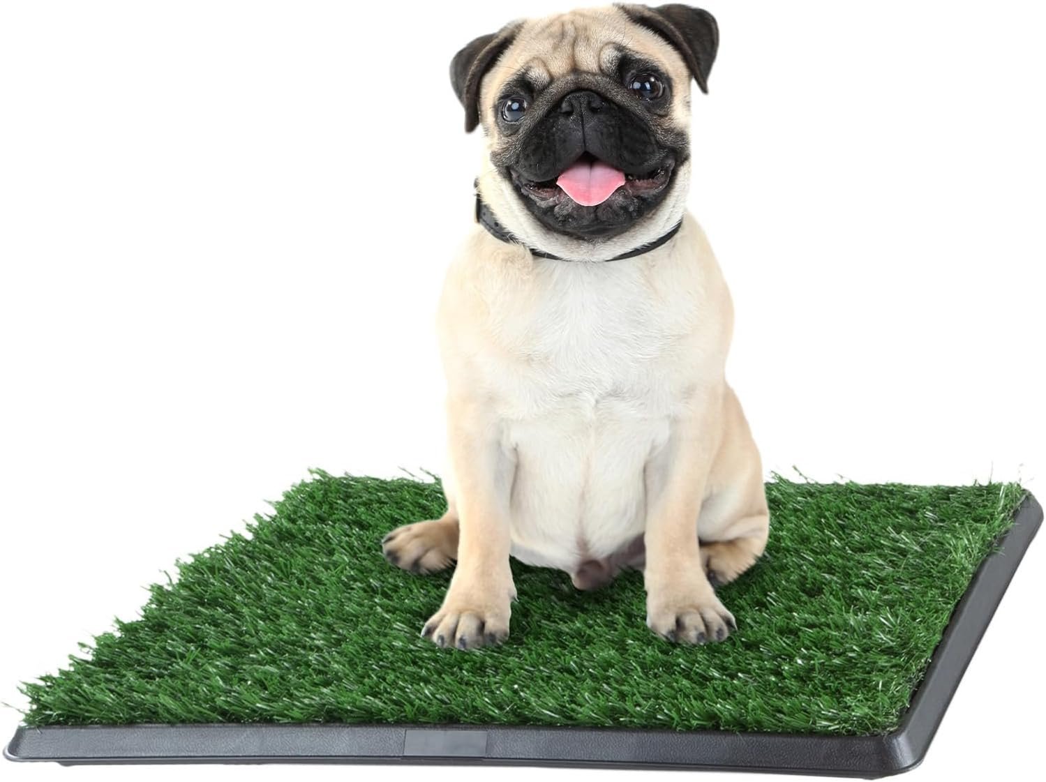 Artificial Grass Puppy Pad with Tray 16×20 inch | Reusable Indoor & Outdoor Dog Potty Training Mat System | Washable Fake Grass Pet Housebreaking Pad for Puppies & Small to Medium Dogs by PETMAKER