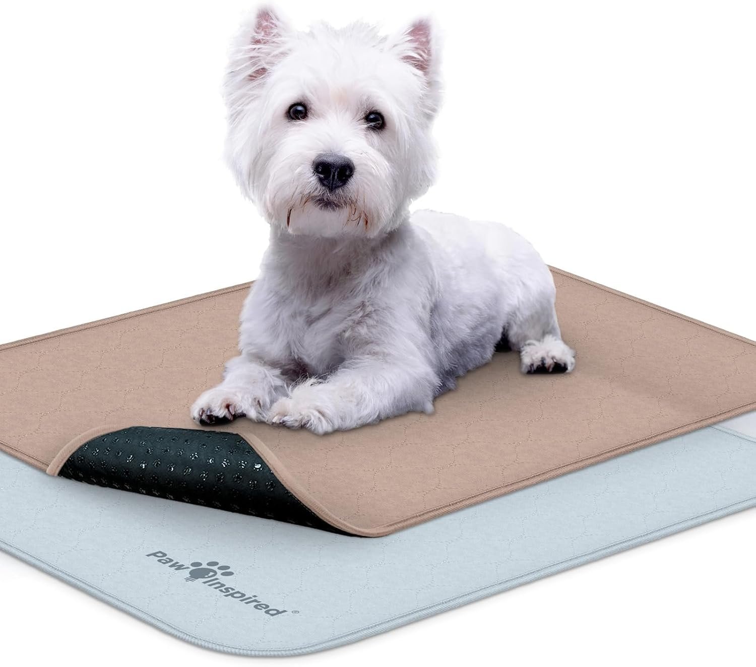 Paw Inspired Washable Crate Liners for Dogs (2 Pack), Leakproof, Non-Slip Pee Pads for 24 Inch Kennels, Reusable Puppy Pads for Potty Training, Whelping, Waterproof Mat (24×18 Inch, Pack of 2)