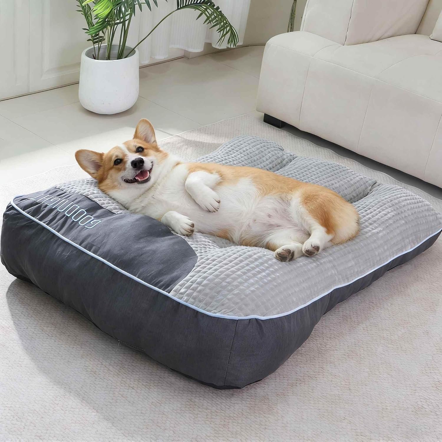 Orthopedic Dog Bed for Medium Dogs, Rectangle 32″x25″x7″, Durable Warm Soft Plush Pet Couch Bed, High-Density Sponge Joint Relief, Calming Anti-Anxiety Dog Crate Pad with Non-Slip Bottom