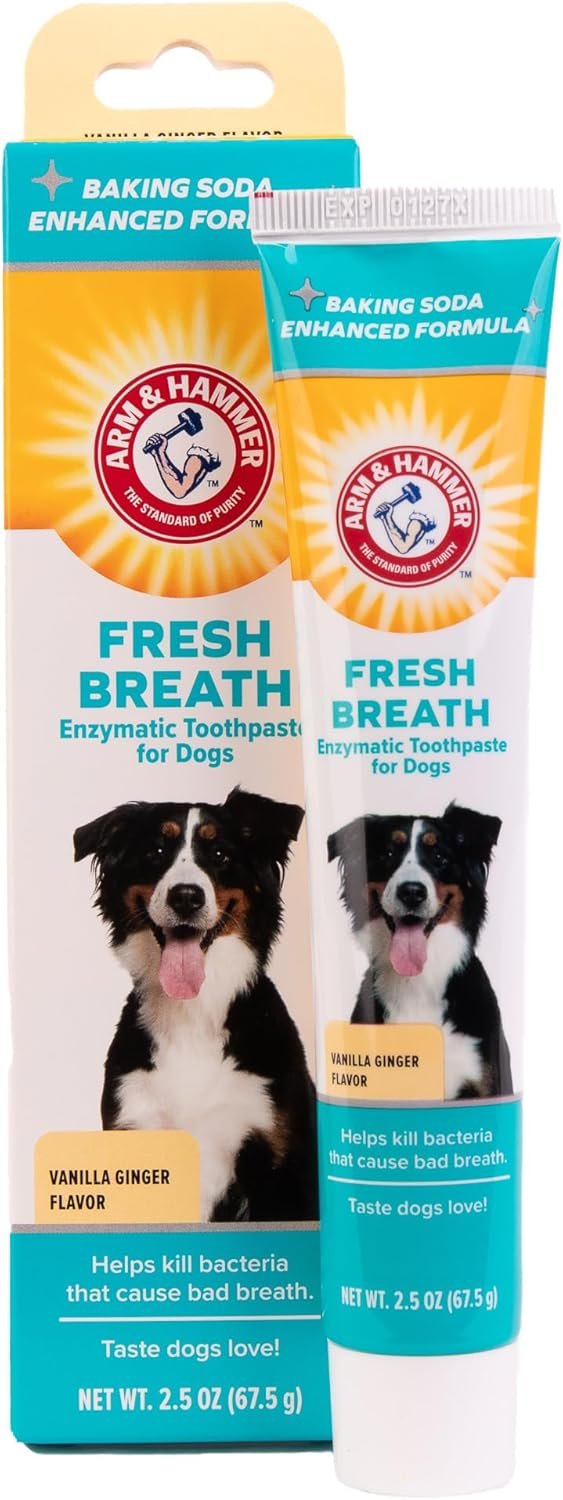 Arm & Hammer for Pets Fresh Breath Enzymatic Dog Toothpaste Vanilla Ginger Flavor Baking Soda Dental Gel Eliminates Bad Breath Safe Puppies Adult Dogs Daily Use 2.5 OZ Single at Home Dental Care