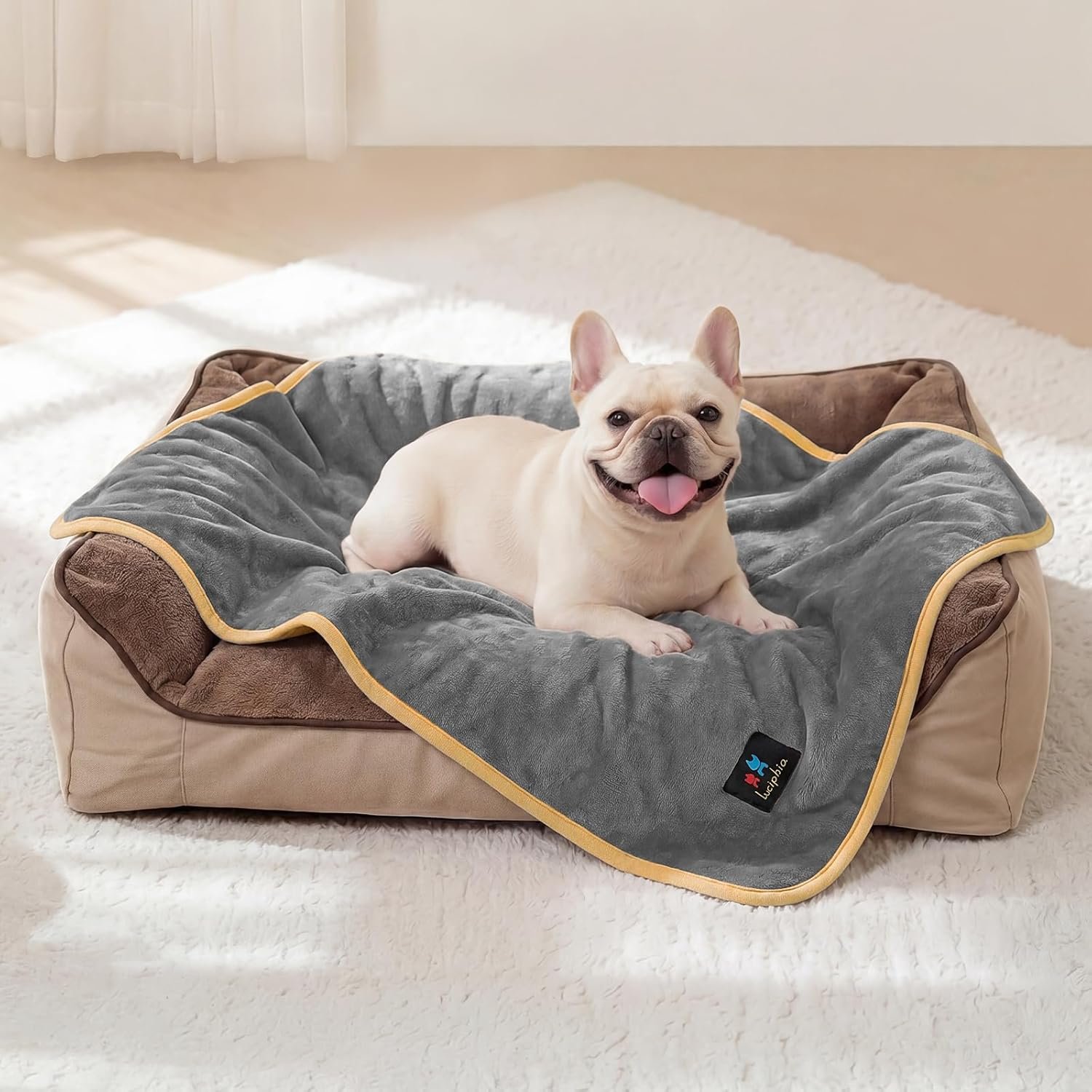 Luciphia Waterproof Blanket for Dog Washable Reversible Sherpa Fleece Throw Blanket for Bed Couch Soft Liquid Pee Proof Furniture Cover Protector for Small Medium Large Pet Cat Grey 35″ x 25″