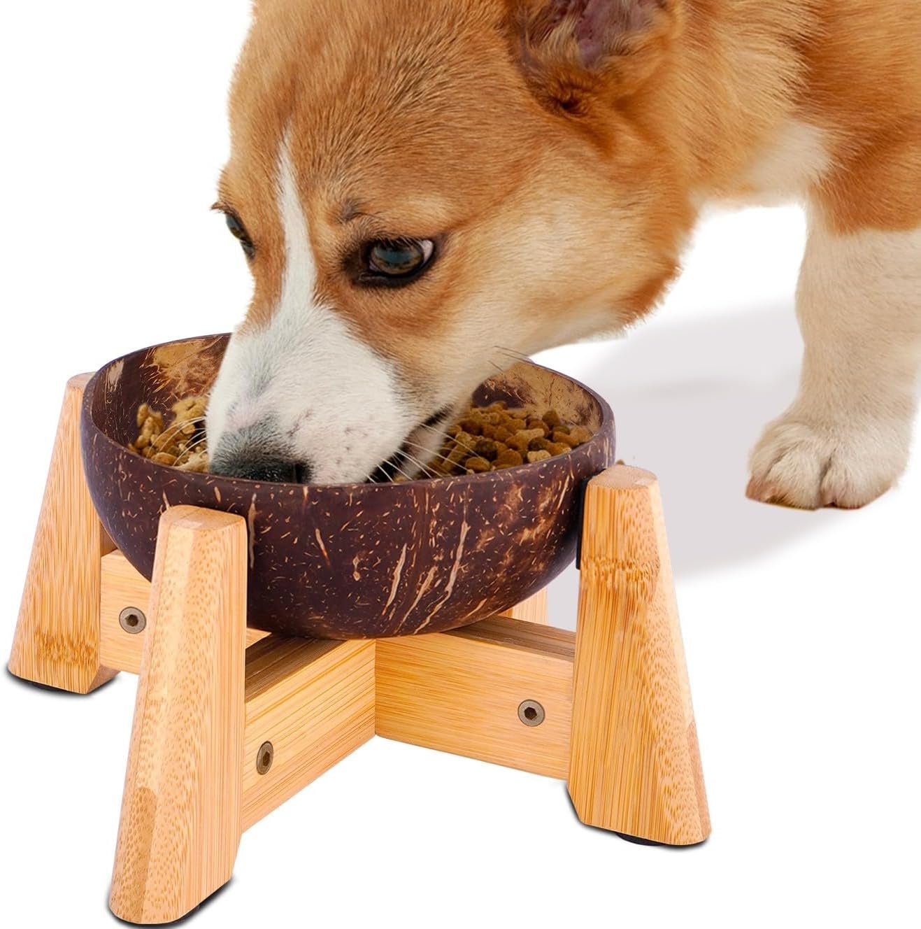 Raised Dog Bowl for Small Dogs – Elevated Natural Coconut Shell Bowl with Wood Stand – 20-oz Capacity