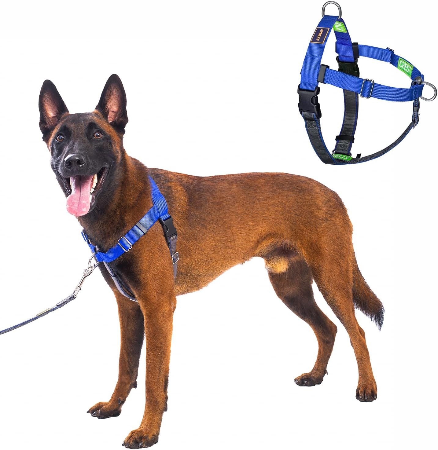 Freedom No Pull Dog Harness, Easy Walk with Two Stainless D-Rings, Front Clip, Comfortable, Sewn-in Instructions Tags for Easy Use, for Large Dogs Weight 60-80 lbs (Blue, L)