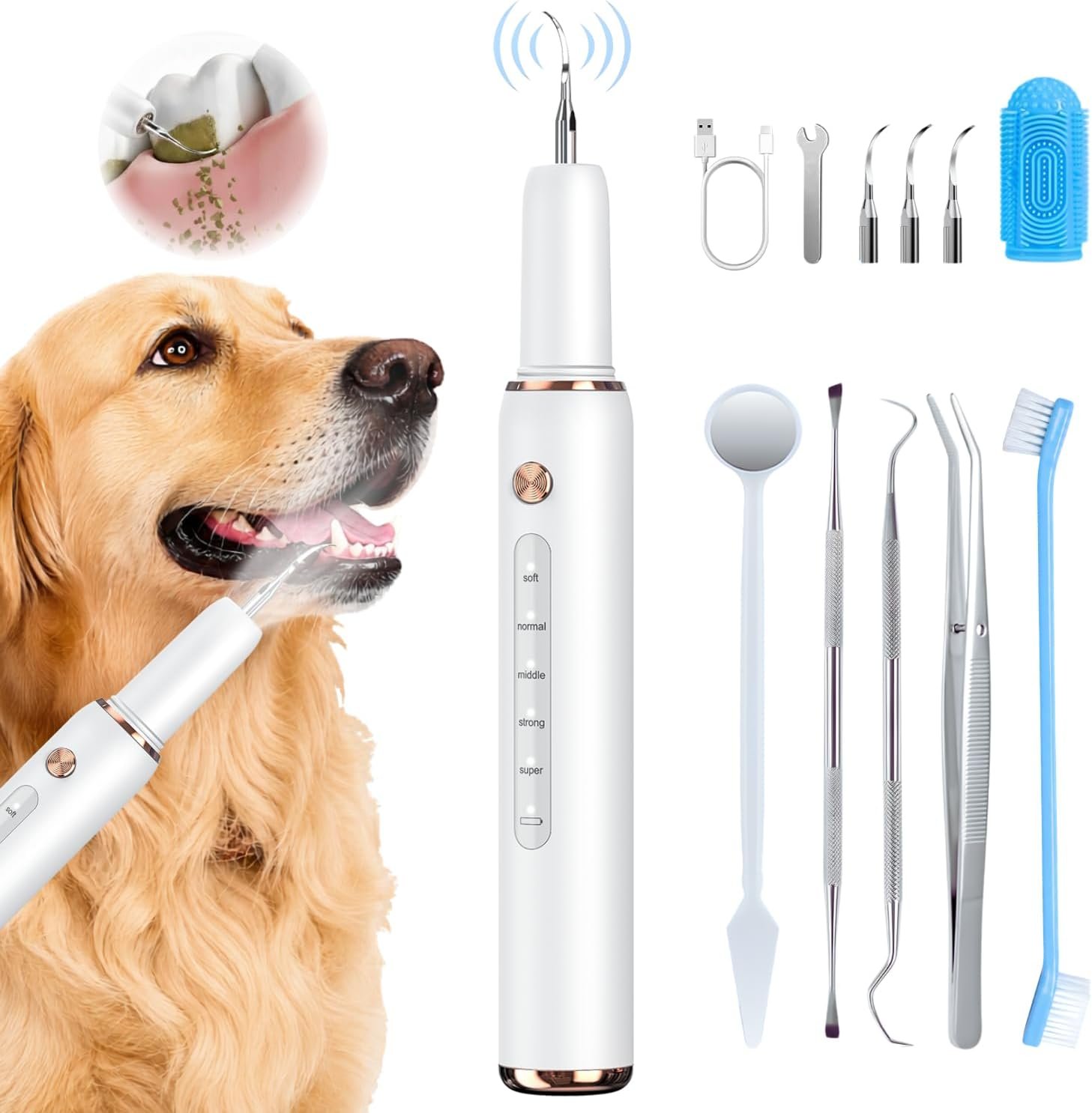 Dog Plaque Remover for Teeth – Electric Tartar Remover with LED Light, 5 Adjustable Modes, Dog Teeth Cleaning Kit, Safe Pet Tooth Cleaner, Dental Care Tool for Dogs