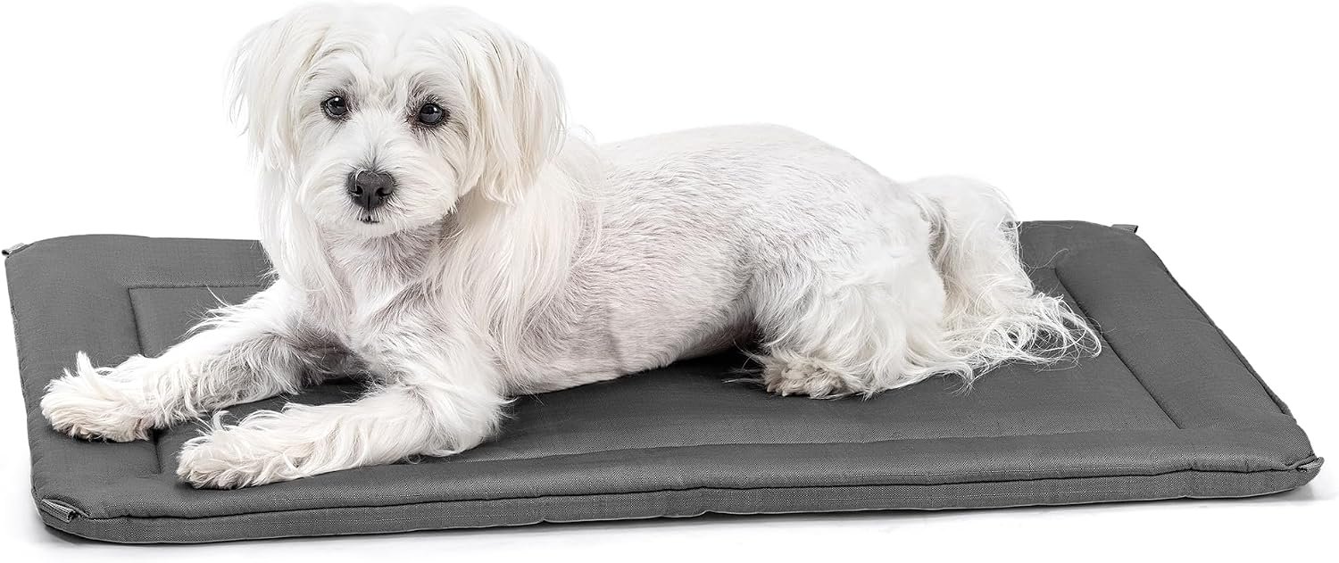 PELZIN Cybarmour 2.0 Chew Proof Dog Crate Pad – Outdoor Chew Resistant Dog Bed with Corner Anchor – Machine Washable – Water & Dirt-Resistant – Small Breeds & Fits 24-Inch Crate – 23″x15″, Charcoal