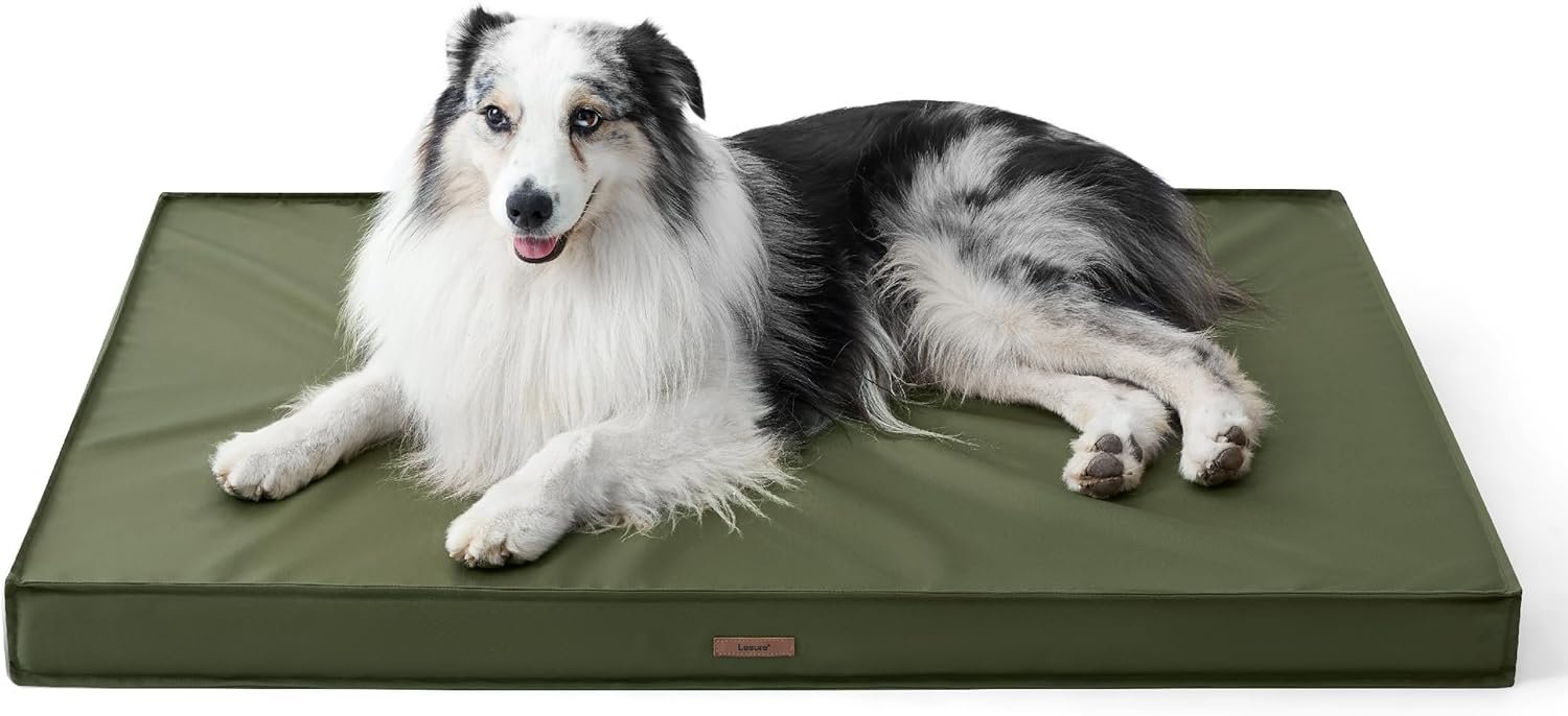 LE SURE Outdoor Waterproof Dog Beds Large Sized Dog, Orthopedic Egg Crate Foam Pet Bed with Oxford Fabric Surface and Removable Washable Cover, Pet Mat 36”x27”, Green