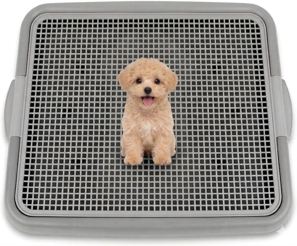UPIT Puppy Potty Tray with Mesh – Dog Pee Pad Holder for Small Dogs & Puppies, Indoor Dog Potty Training Toilet, Plastic Leak-Proof Dog Potty Tray (Small – 20 x 16 in)
