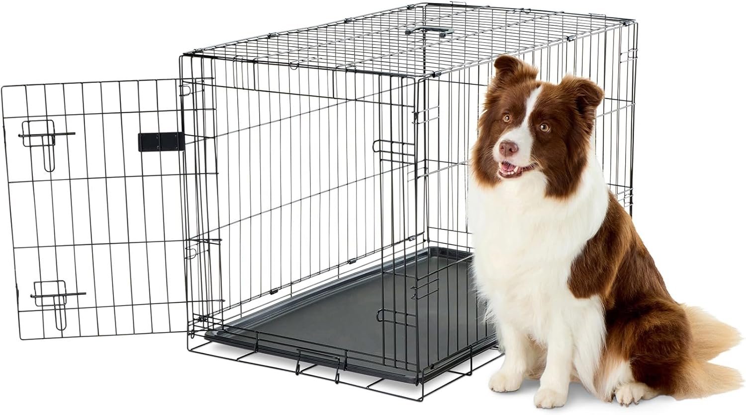 Carlson Pet Products Single Door Metal Dog Crate, Intermediate 36″ Dog Crate for Medium to Large Dogs, Foldable Collapsible Dog Kennel with Removable Tray, Portable Wire Dog Cage for Training & Travel