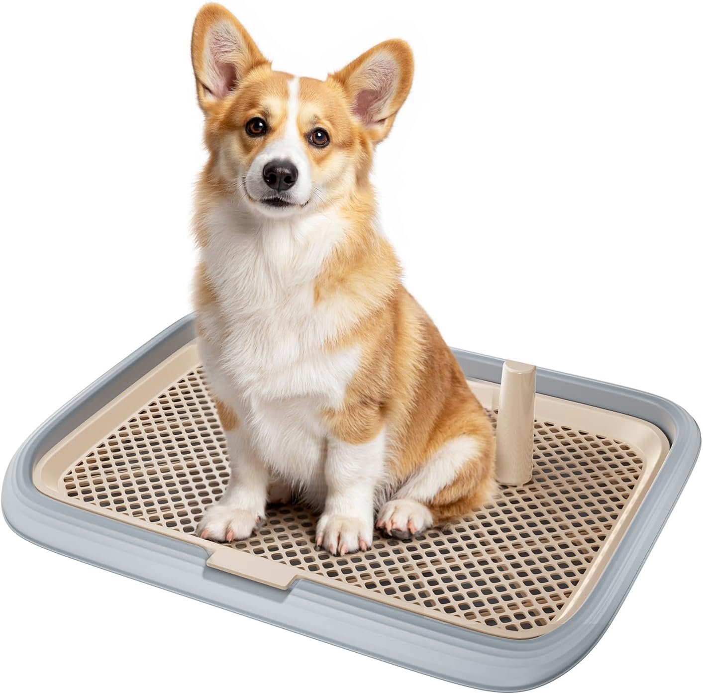 Dog Potty Tray, 23.6″x17.68″ Indoor Pet Pee Pad Holder,Puppy Training Holder,Bathroom Dog Litter Box, Pet Toilet for Small and Medium Dogs,Housebreaking Supplies, Pet Products(Gray)