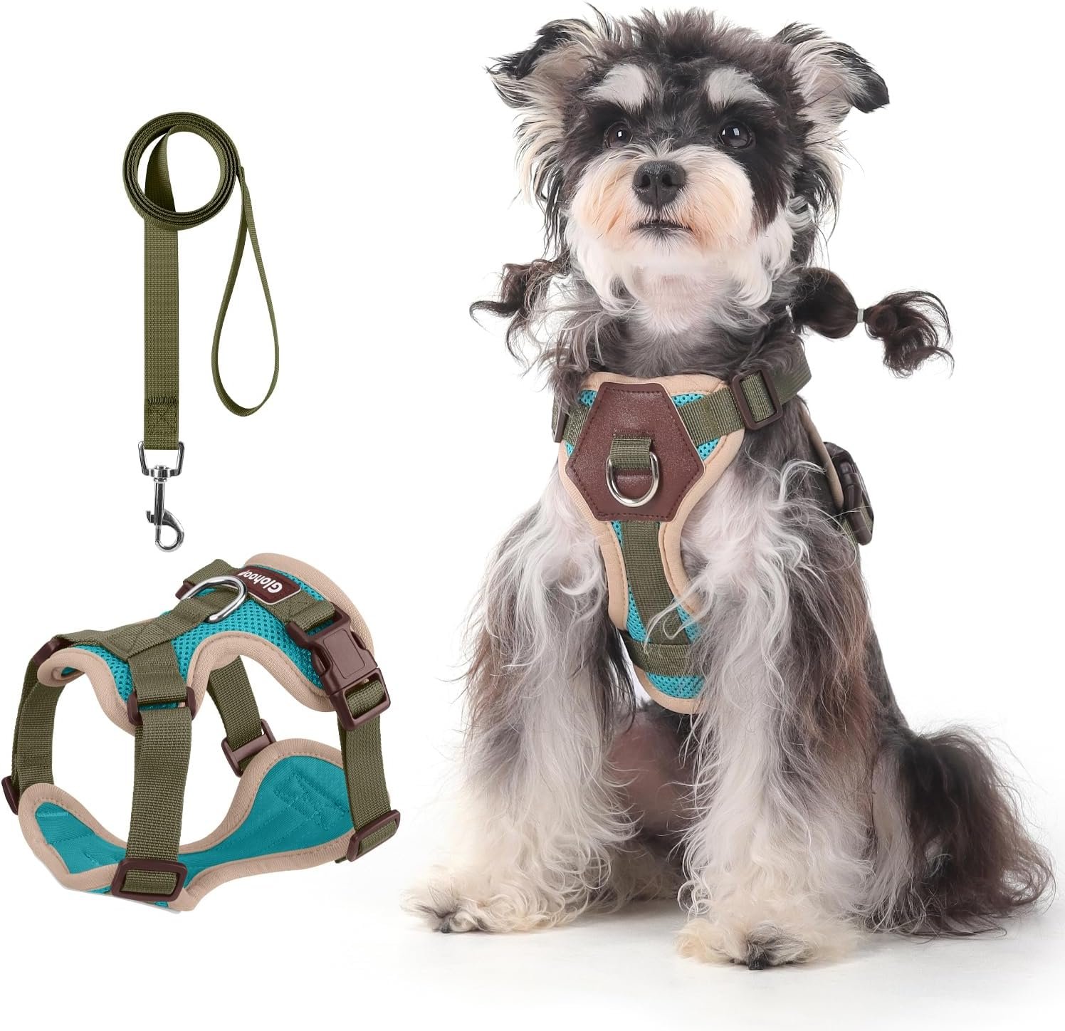 Small Dog Harness and Leash Set, Breathable Mesh Puppy Harness, Adjustable Dog Harness for Small Medium Large Dogs, No-Pull Pet Harness for Daily Walking (Lakeblue, Small)