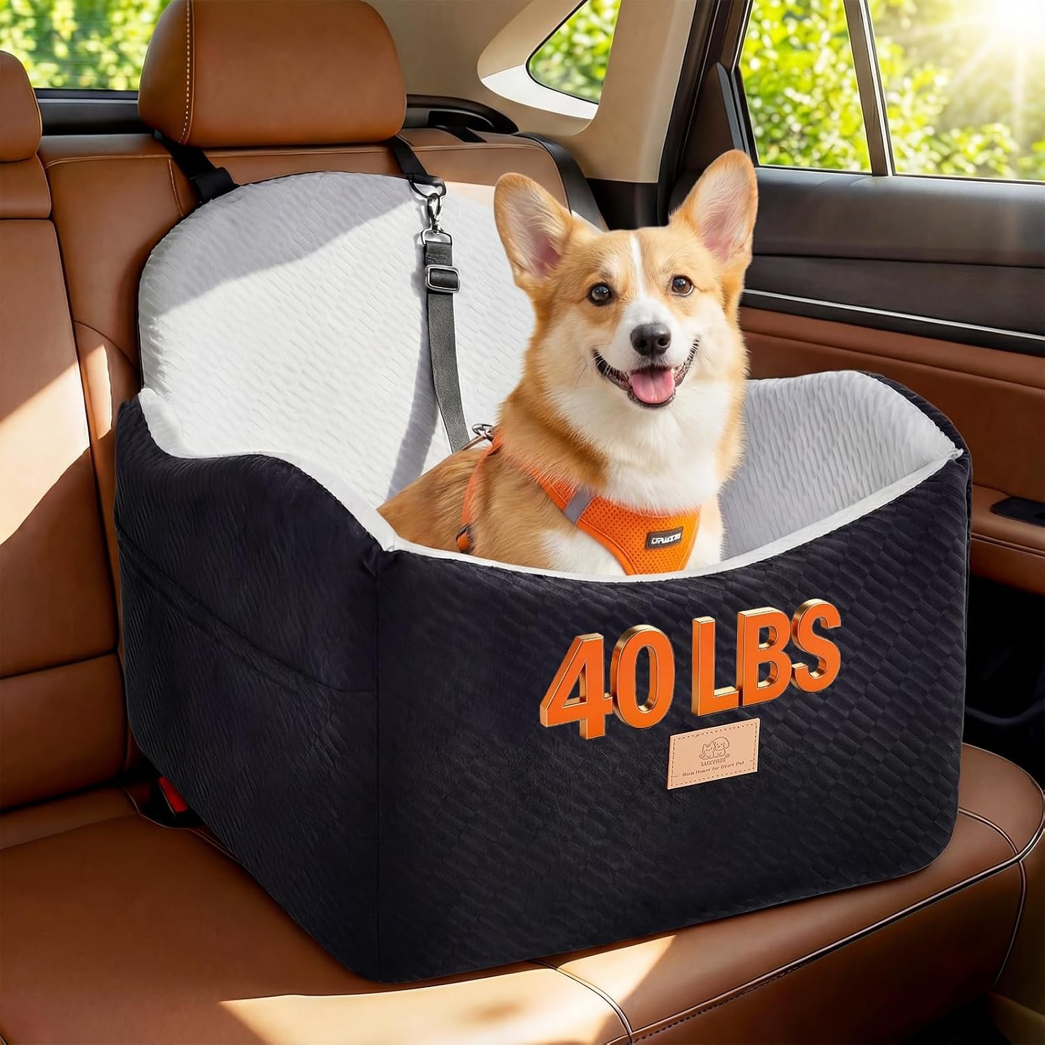 Dog Car Seat for Medium/Small Dogs, Dog Booster Car Seat, Pet Booster Seats Up to 40lbs with Waterproof Layer, 3 Storage Pockets and Safety Belt (Black/Grey)