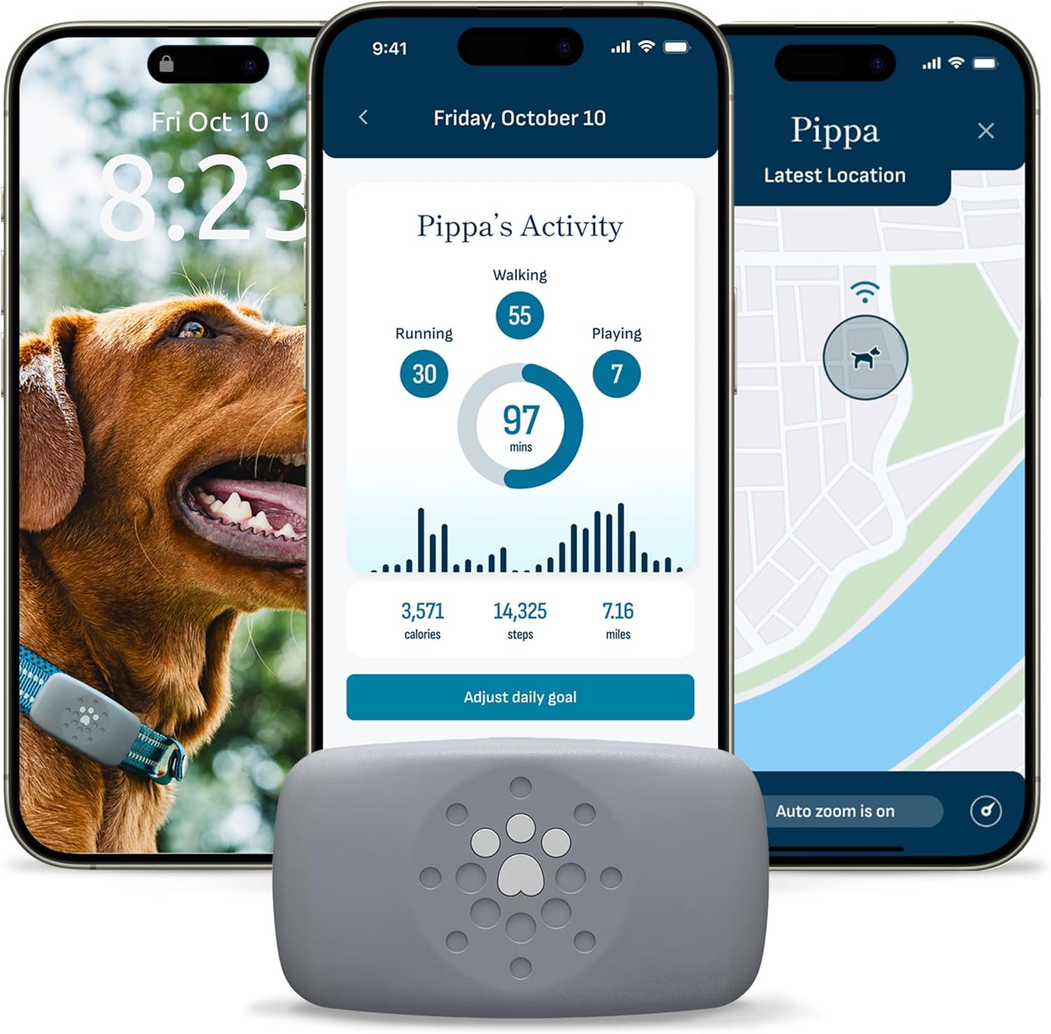 Petivity Dog GPS Tracker Powered by Purina, Waterproof Real Time Tracking GPS Dog Collar, Downloadable App, Subscription Required
