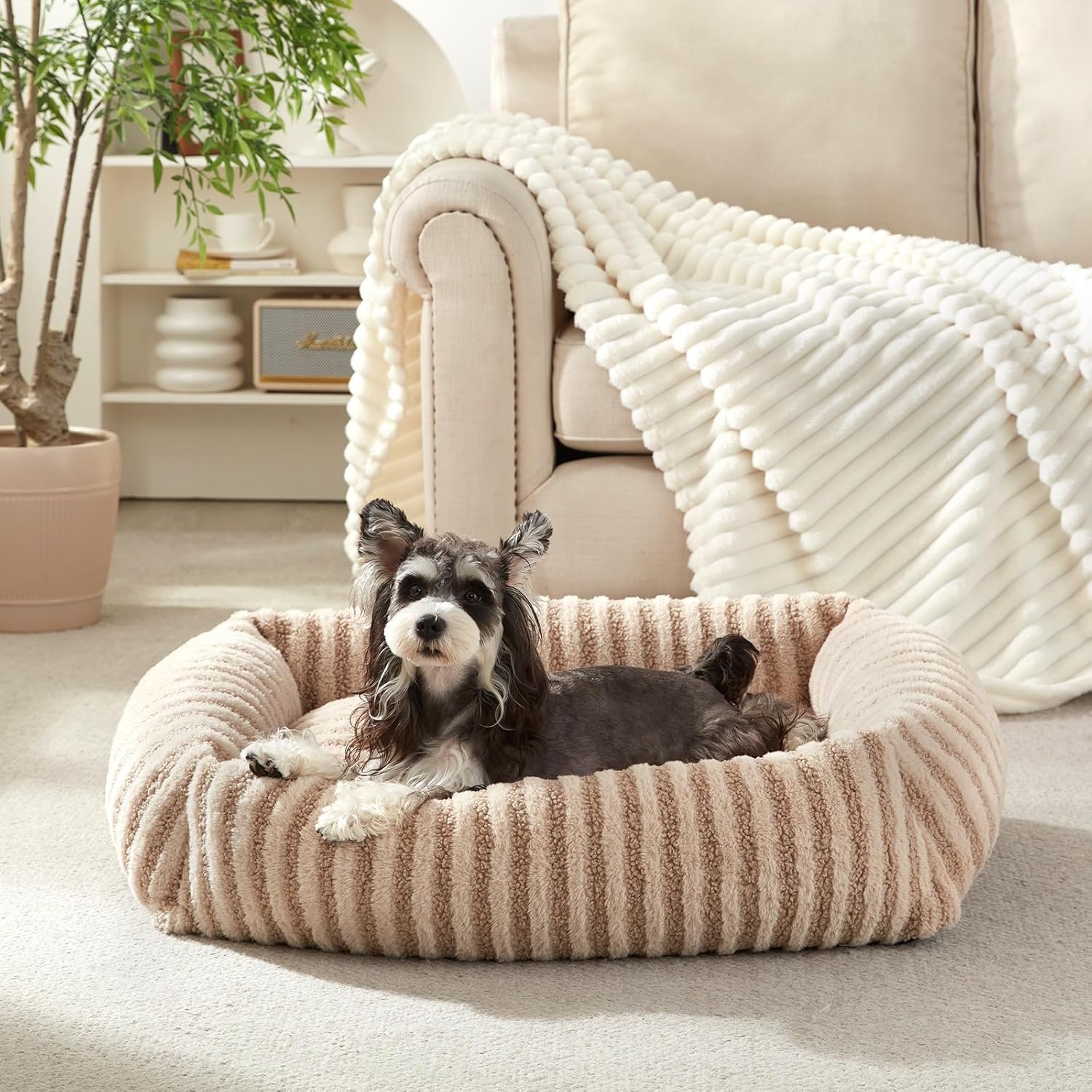 MIXJOY Dog Beds for Small Dogs Cats, Washable Dog Bed with Removable Cover, Soft Calming Cat Bed for Indoor Cats, Rectangle Pet Sofa Bed for Puppy Kitty, Anti-Slip Bottom,20″x19″x6″, Beige