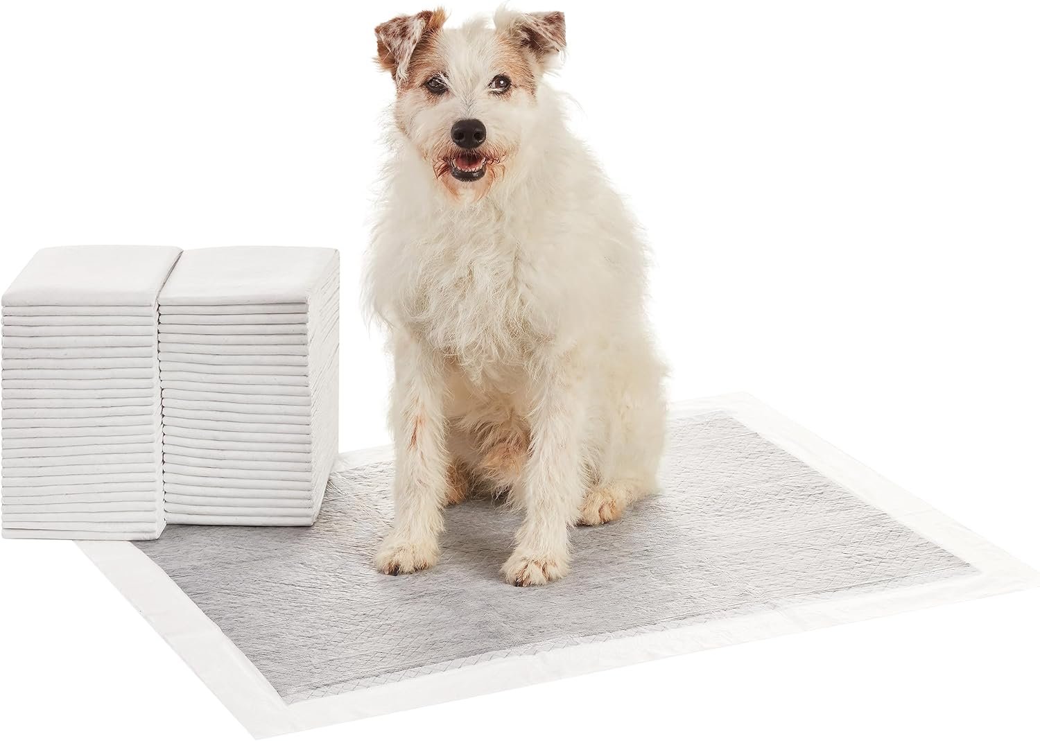 Amazon Basics Carbon Odor Control Dog and Puppy Pee Pads, 5-Layer Leak-Proof Super Absorbent, Quick-Dry Surface for Potty Training and Housebreaking, X-Large Size 28″x34″, Gray, 50 Count