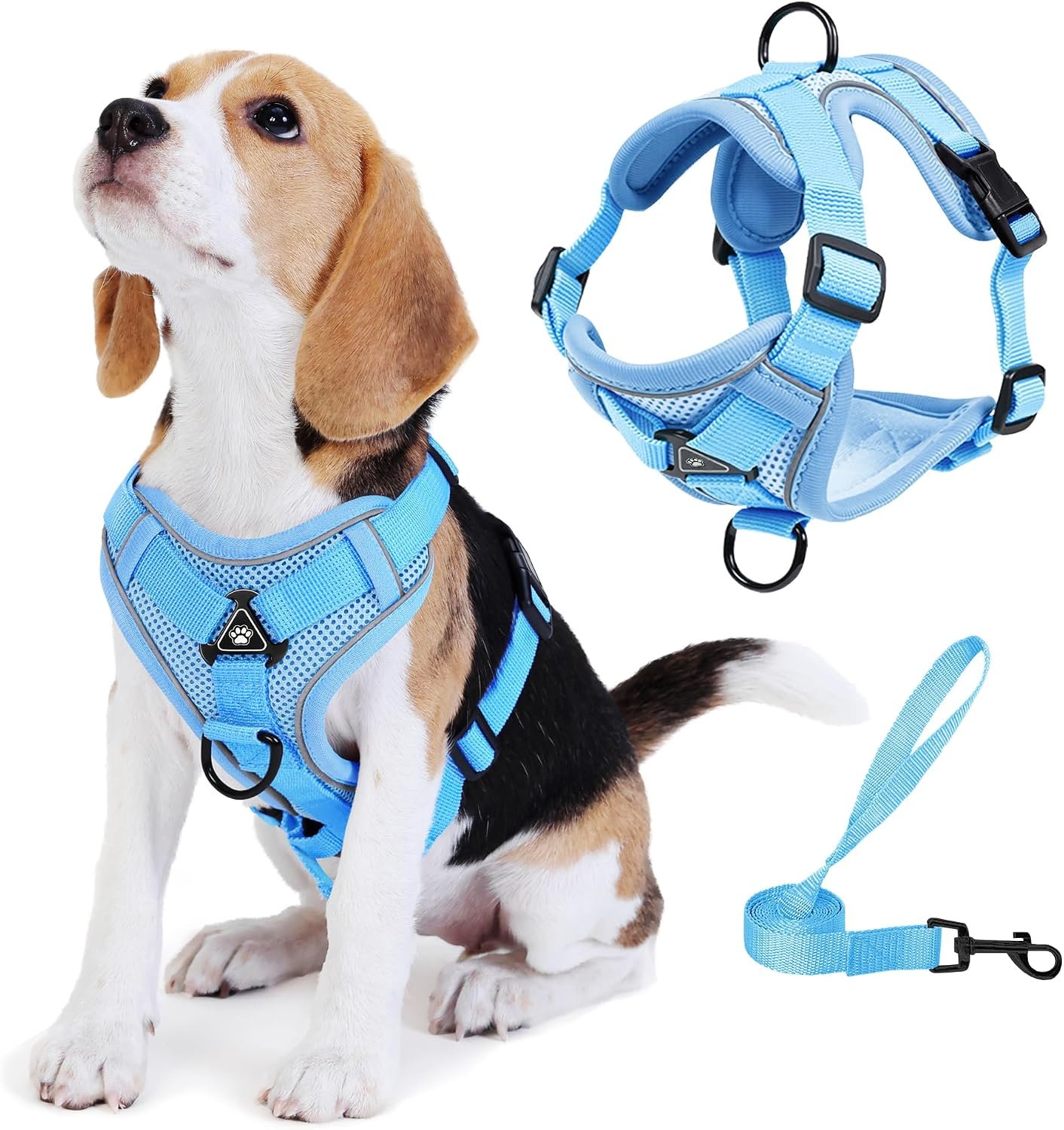 No Pull Dog Harness with Leash Set for Small Sized Dog, Reflective Adjustable No Choke Front Clip Cat Vest Harness with Breathable Mesh, Comfortable Soft Padded Pet Vest, Blue M