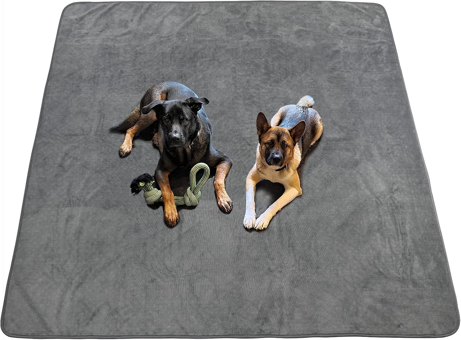 Dog Pee Pad Washable Extra Large, Instant Absorb Thicker Training Pads Non-Slip Pet Playpen Mat, Waterproof Reusable Floor Mat Ideal for Puppy Senior Dog Whelping Incontinence Housebreaking 65×48 Inch