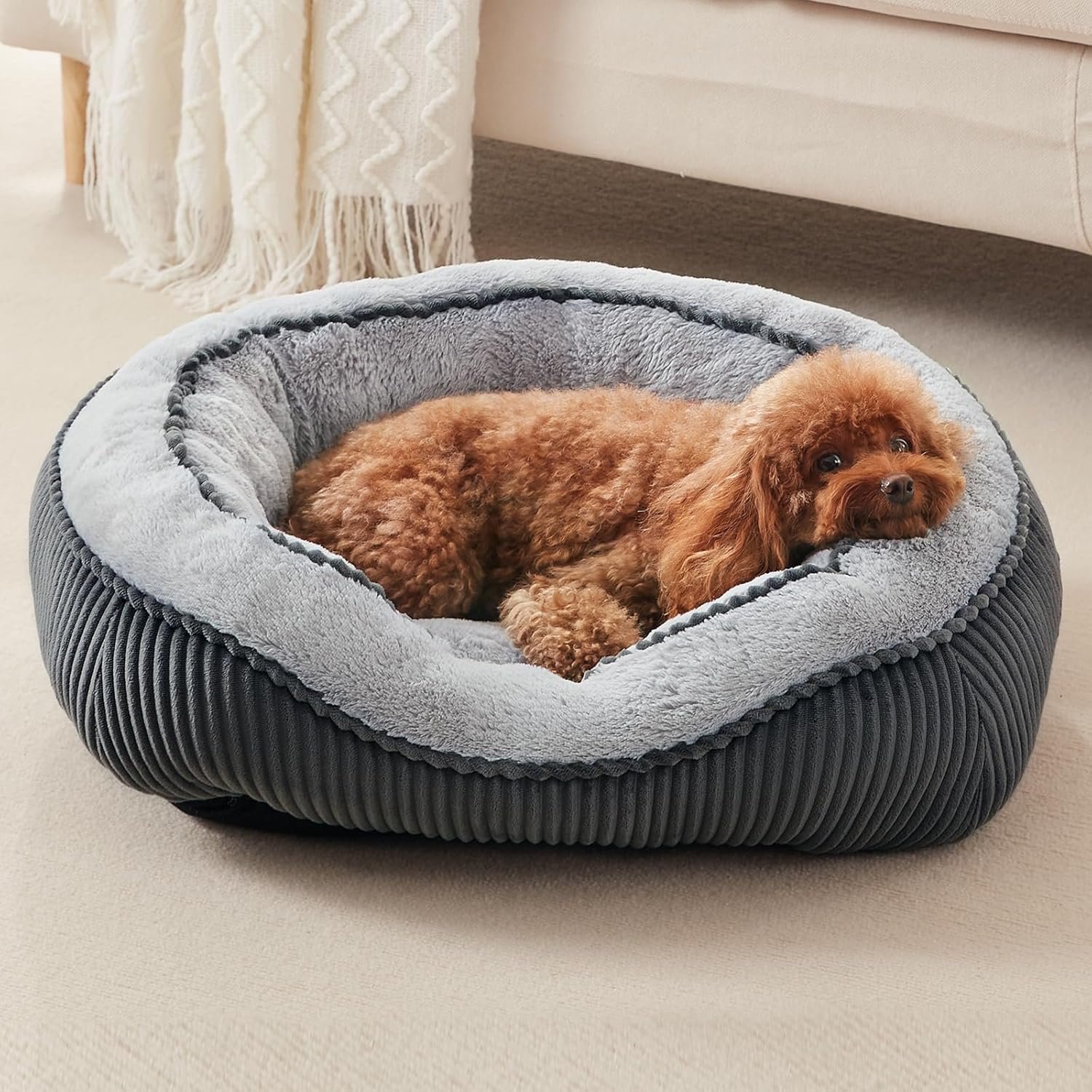 Washable Dog Bed for Small Medium Sized Dogs, Rectangle Small Puppy Cat Dog Beds, Orthopedic Pet Bed, Soft Breathable Calming Pet Sofa Bed Anti-Anxiety with Anti-Slip Buttom, S(20″x19″x6″)