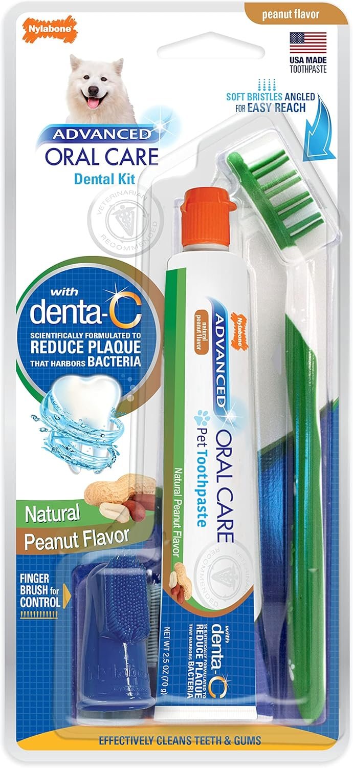 Nylabone Advanced Oral Care Natural Dog Dental Kit Peanut Flavor 2.5 oz.