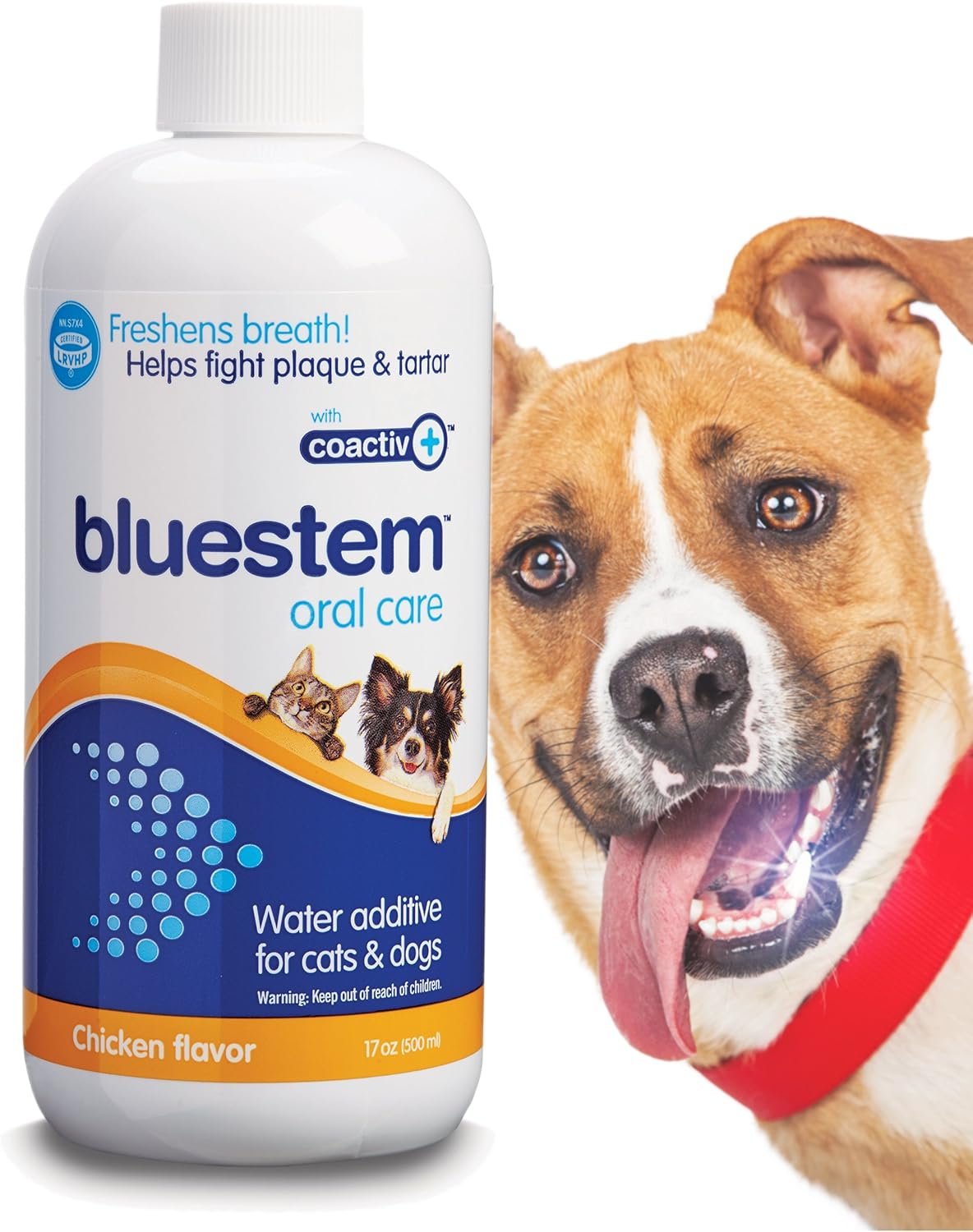 bluestem Freshens Dog and Cat Breath – Safe and Effective Dental Water Additive – 17 Ounce – Chicken