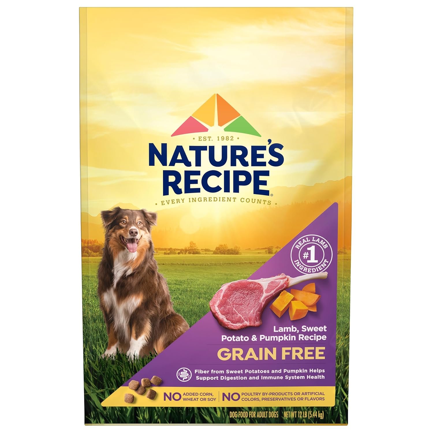 Nature’s Recipe Grain Free Dry Dog Food, Lamb, Sweet Potato & Pumpkin Recipe, 12 lb. Bag