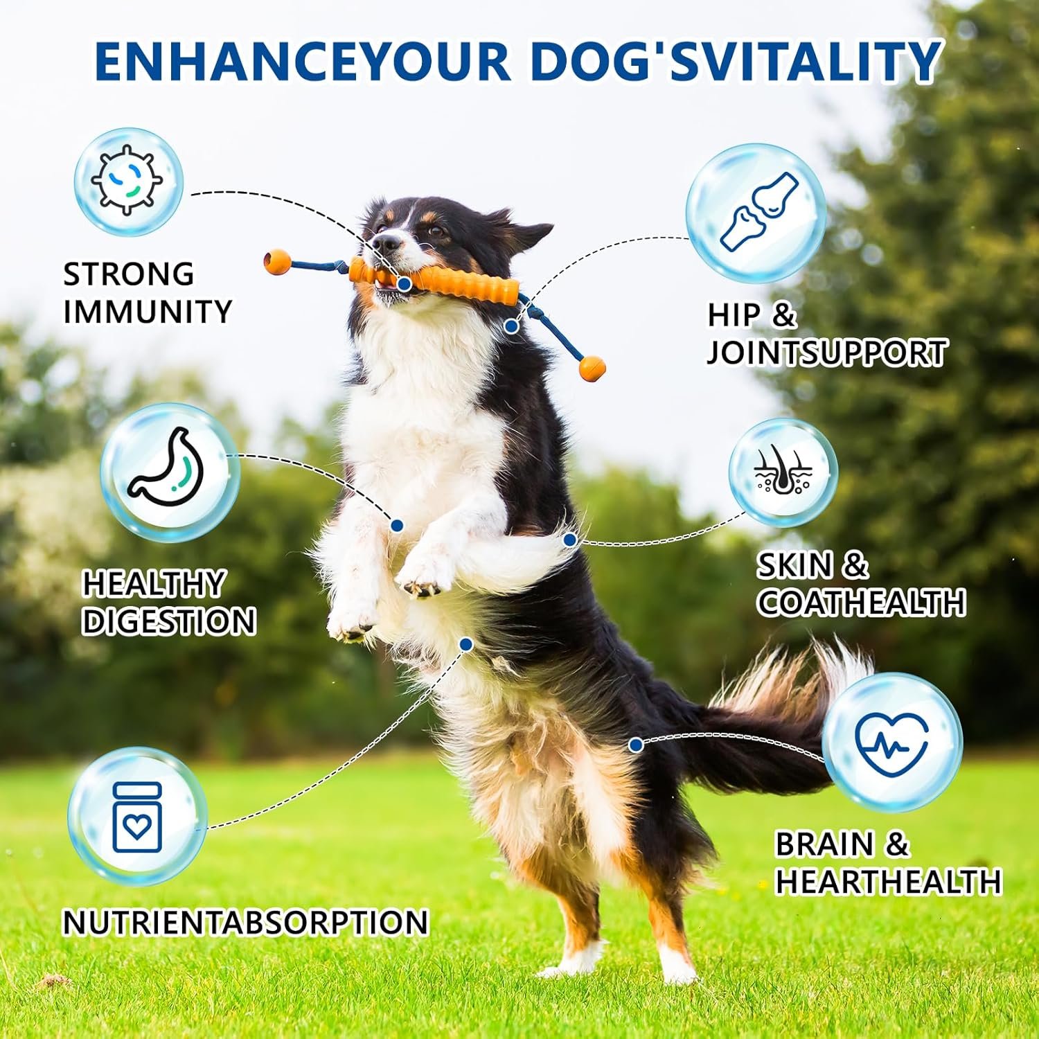 40-in-1 Dog Vitamins Chewable Multivitamin for Dogs Supplements with Glucosamine MSM – Turkey Tail Mushroom, Digestive Enzymes Gut Probiotics, Hip & Joint, Skin & Coat Immune Support, 400ct