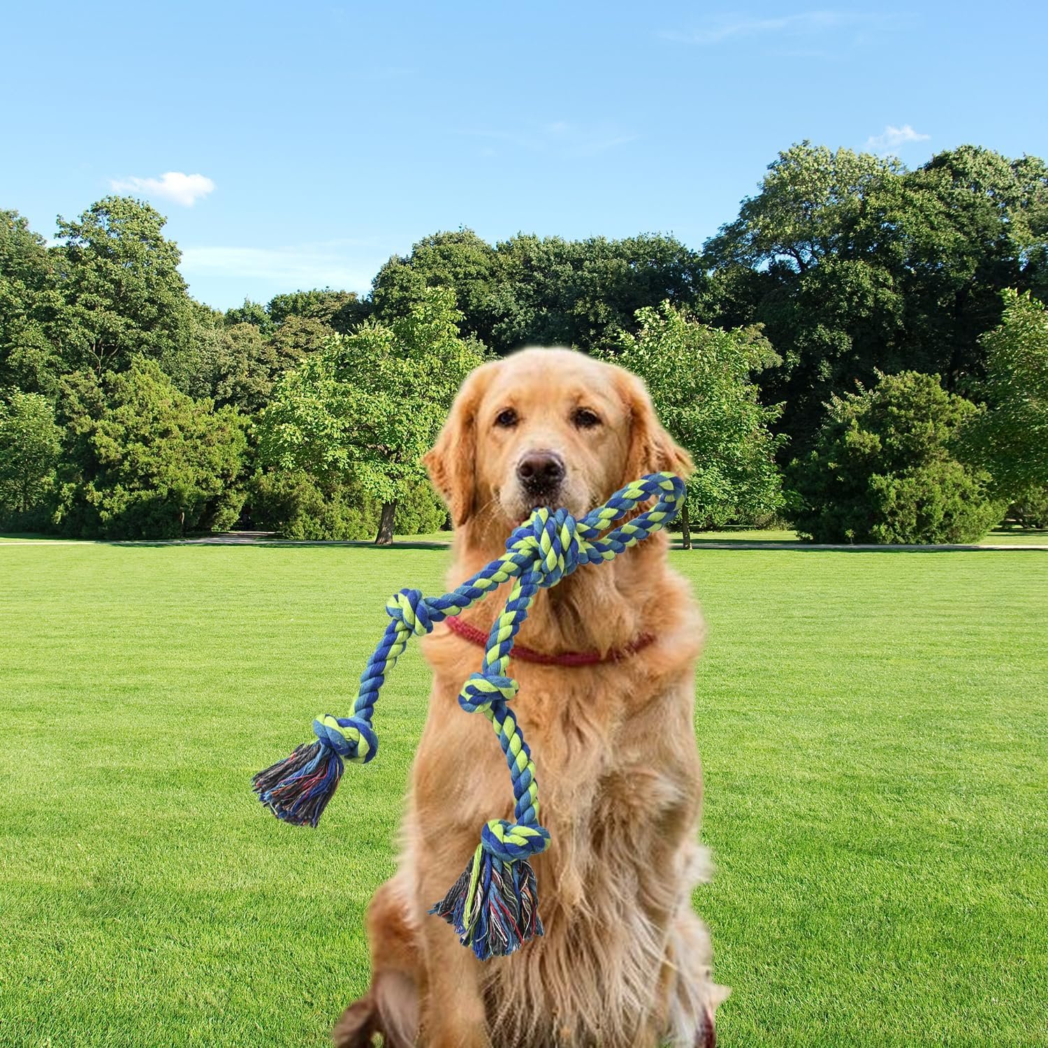 Heavy Duty Dog Rope Toys for Aggressive Chewers, Tough Tug of War Dog Toys for Large, Medium & Small Dogs
