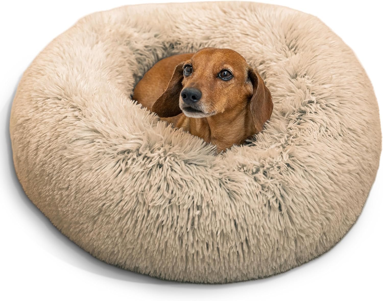 Best Friends by Sheri The Original Calming Donut Dog Bed for Small Dogs up to 25 lbs, Shag Faux Fur, Taupe, 23″ x 23″