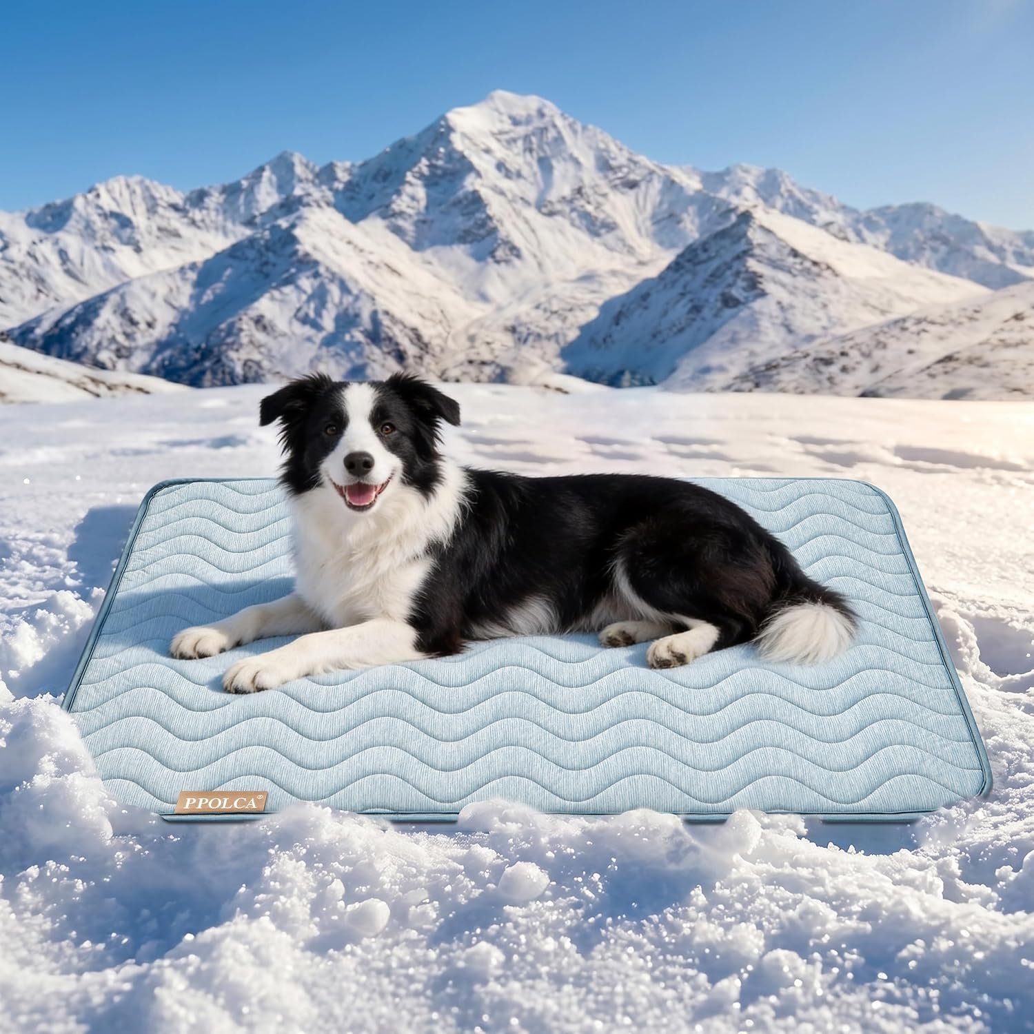 PPOLCA Waterproof Cooling Mat for Large Dogs – Q-MAX>0.5, Thin Memory Foam Kennel Dog Crate Bed, Portable Non-Slip & Machine Washable Dog Pad for Indoor & Outdoor 23×35, Blue