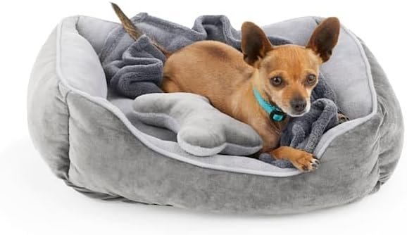 EveryYay by Petco Essentials Dog Bed Bundle 22″ L X 18″ W Small Gray