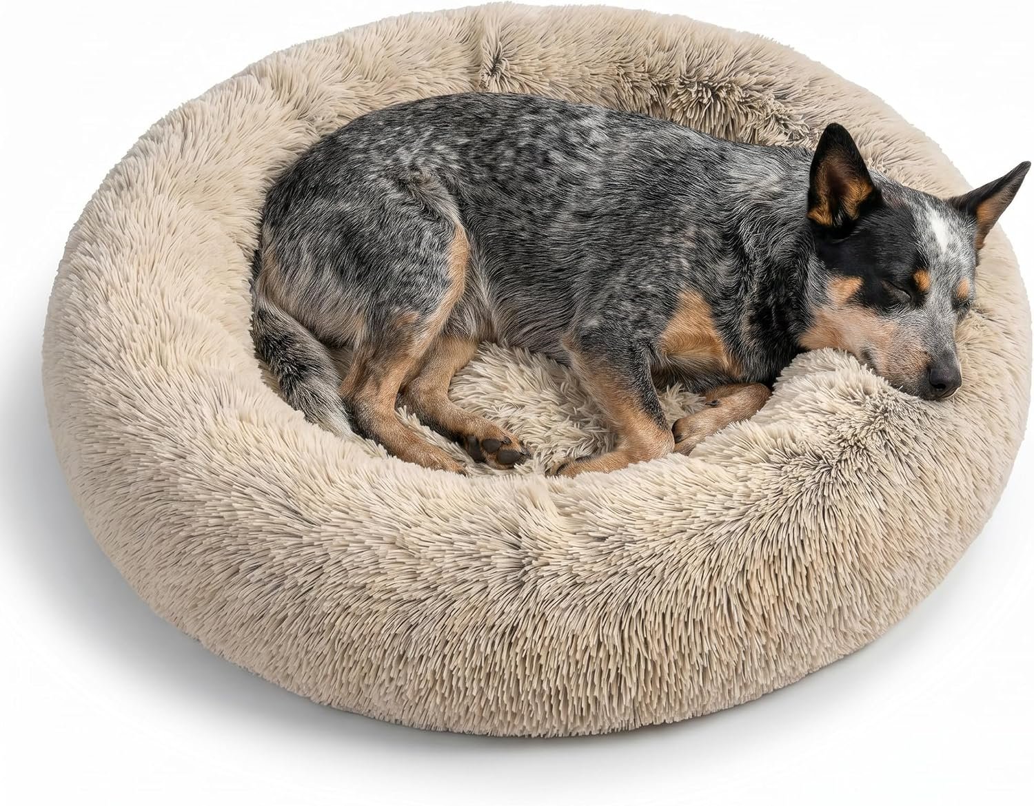 Best Friends by Sheri The Original Calming Donut Dog Bed for Medium Dogs up to 45 lbs, Shag Faux Fur, Taupe, Medium, 30″ x 30″